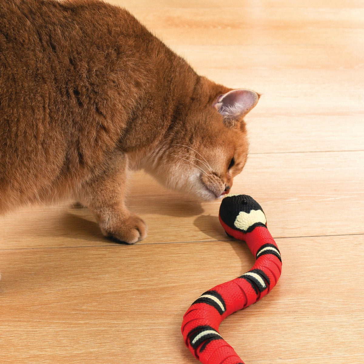 situation — Serpente interattivo per gatti – Si muove da solo e schiva gli ostacoli