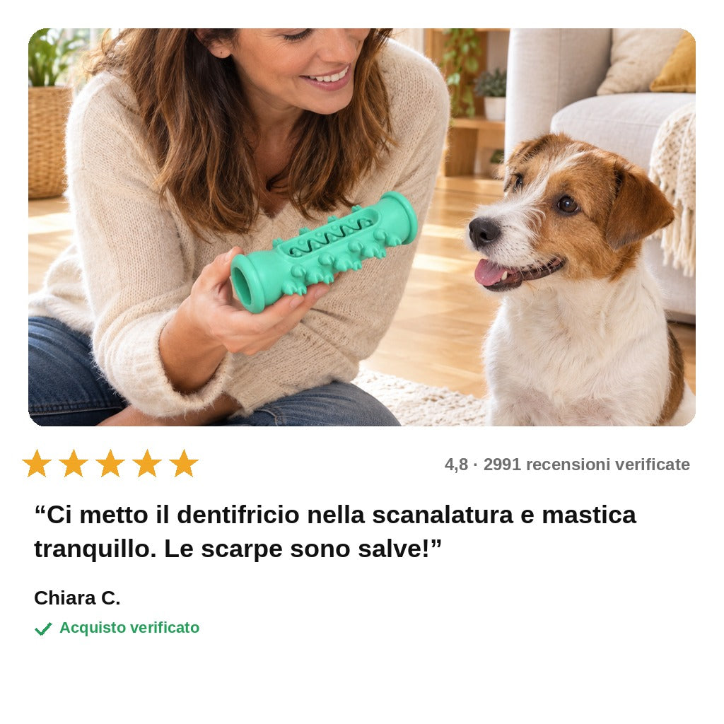 avis — Osso Spazzolino per Cani – Gioco da Masticare in Gomma Naturale con Scanalatura per Dentifricio