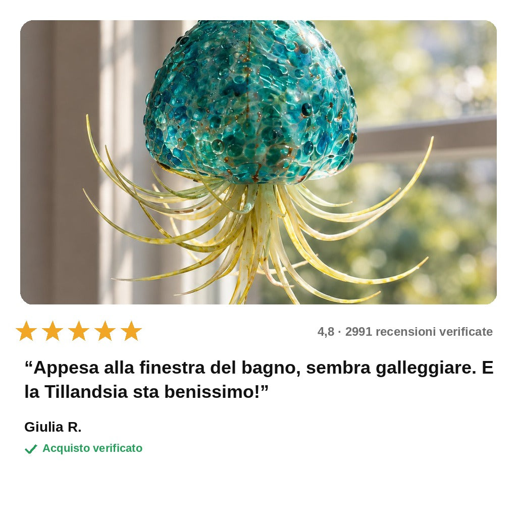 avis — Porta Tillandsia Medusa – Vetro Soffiato a Mano