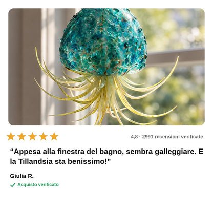 avis — Porta Tillandsia Medusa – Vetro Soffiato a Mano