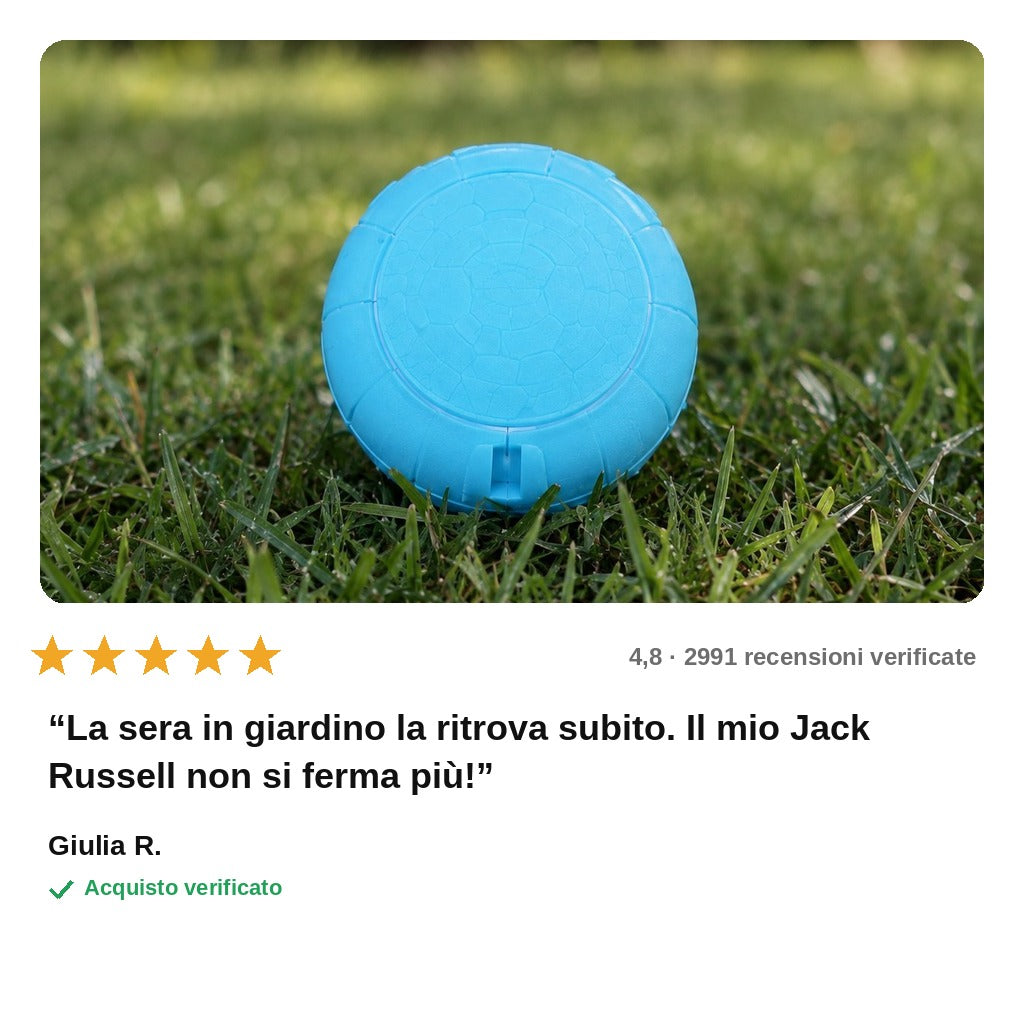 avis — Pallina LED Telecomandata per Cani – Ricaricabile USB
