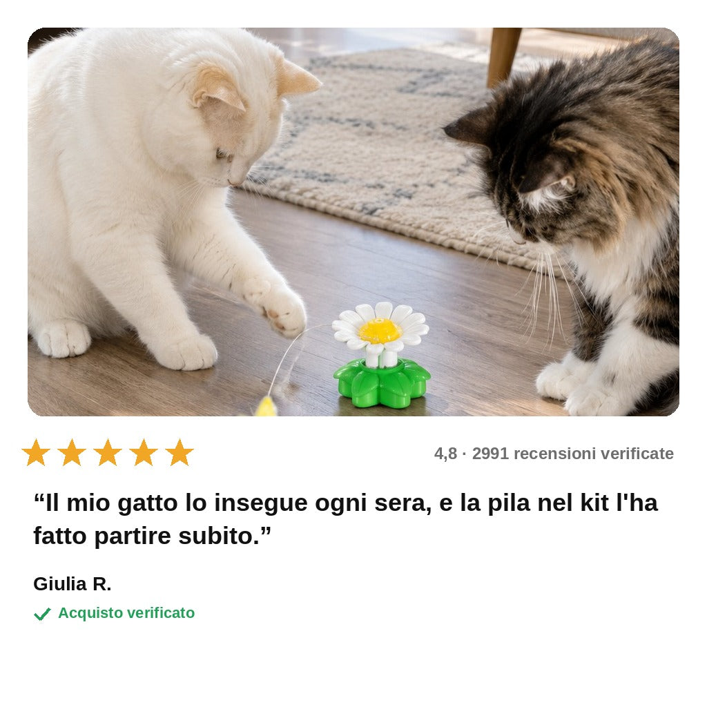avis — Farfalla Rotante Interattiva per Gatti