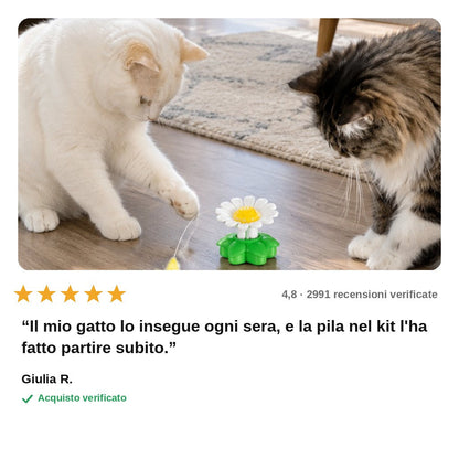 avis — Farfalla Rotante Interattiva per Gatti