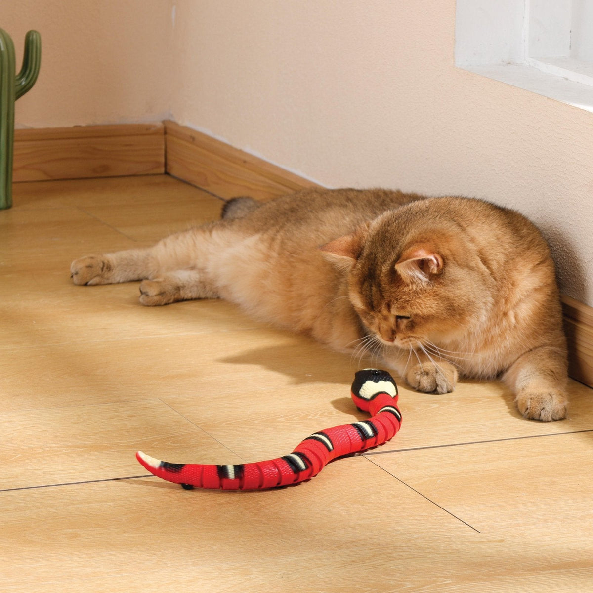 situation — Serpente interattivo per gatti – Si muove da solo e schiva gli ostacoli