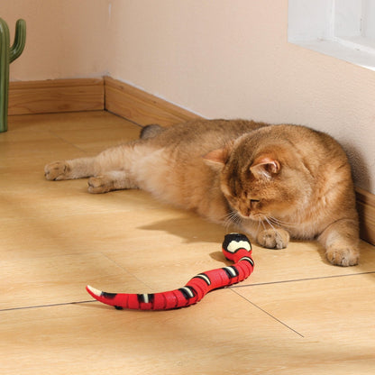 situation — Serpente interattivo per gatti – Si muove da solo e schiva gli ostacoli