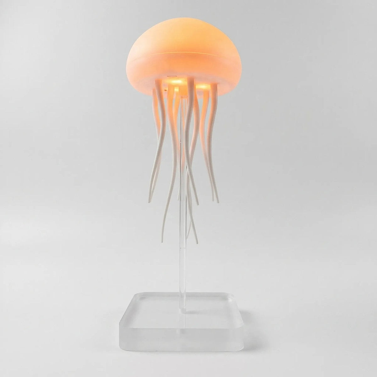 packshot — Lampada Medusa LED – Luce Calda d'Atmosfera con Base Trasparente