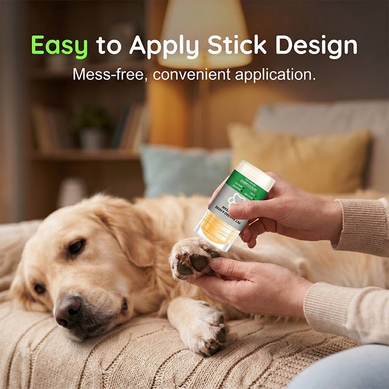 situation — PawSoft™ – Stick Idratante Protettivo per Zampe di Cane