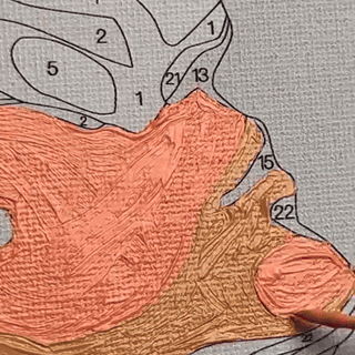 gif — Kit Dipingi con i Numeri – Tela su Telaio in Legno, Pronto da Appendere
