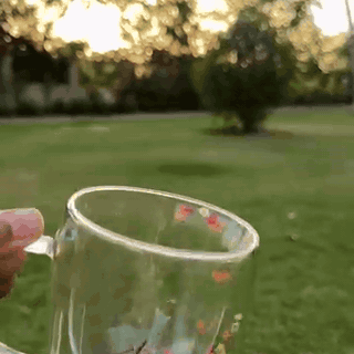 tazza-in-vetro-a-doppia-parete-con-fiori-secchi-35-1365-gifsec