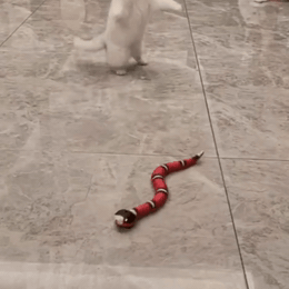 serpente-interattivo-per-gatti-si-muove-da-solo-e-1845-gifsec
