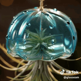 porta-tillandsia-medusa-vetro-soffiato-a-mano-1522-gifsec