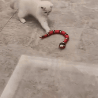 gif — Serpente interattivo per gatti – Si muove da solo e schiva gli ostacoli