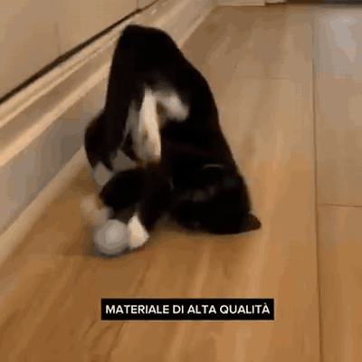 gif — Pallina LED Telecomandata per Cani – Ricaricabile USB