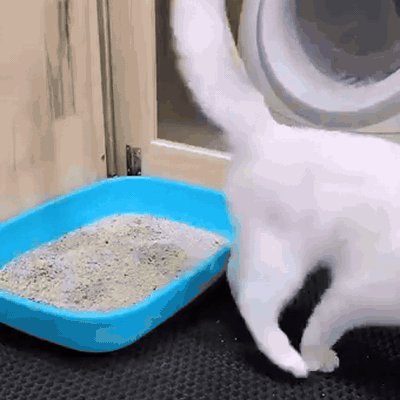 gif — Tappetino Raccogli Lettiera Doppio Strato – Pavimento Pulito Intorno alla Lettiera