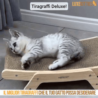 gif — Tiragraffi Inclinabile in Legno e Cartone