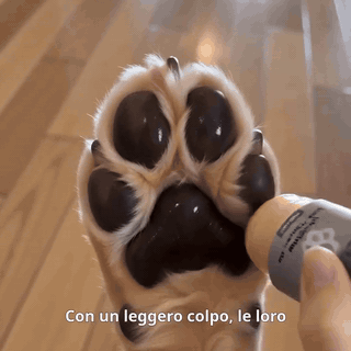 gif — PawSoft™ – Stick Idratante Protettivo per Zampe di Cane