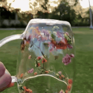 gif — Tazza in Vetro a Doppia Parete con Fiori Secchi – 350 ml