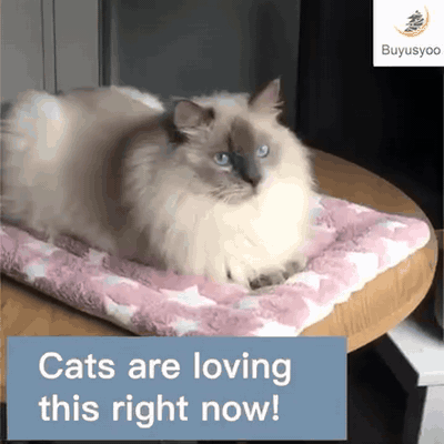gif — Coperta in Flanella per Gatti – Morbida e Calda