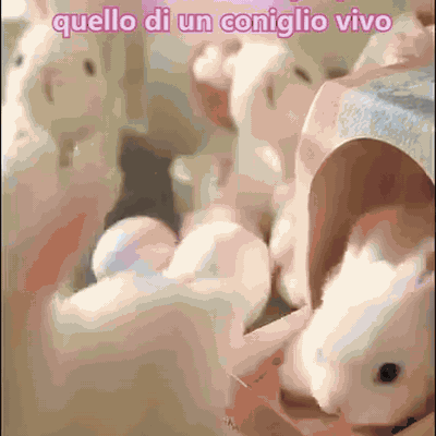 gif — Coniglietto Saltellino™ – Peluche Interattivo che Saltella e Muove le Orecchie