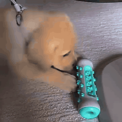 gif — Osso Spazzolino per Cani – Gioco da Masticare in Gomma Naturale con Scanalatura per Dentifricio