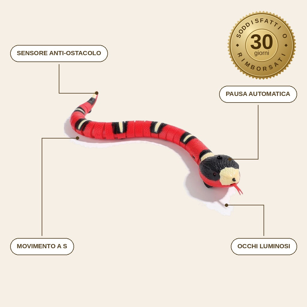 infographie — Serpente interattivo per gatti – Si muove da solo e schiva gli ostacoli
