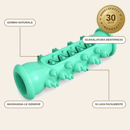 infographie — Osso Spazzolino per Cani – Gioco da Masticare in Gomma Naturale con Scanalatura per Dentifricio