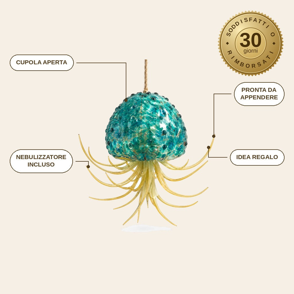 infographie — Porta Tillandsia Medusa – Vetro Soffiato a Mano