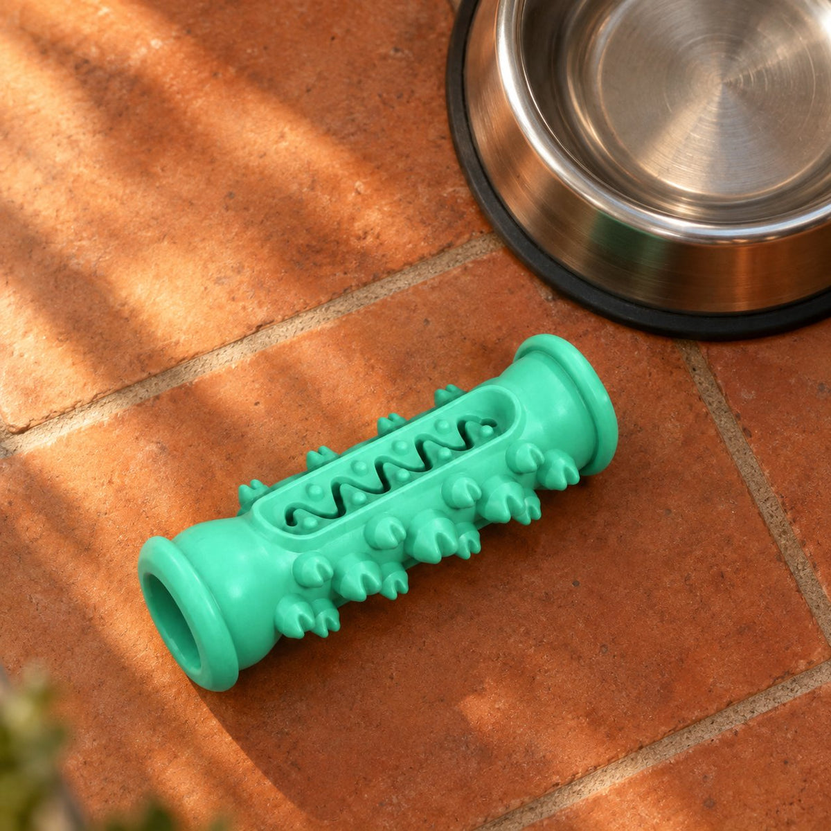 situation — Osso Spazzolino per Cani – Gioco da Masticare in Gomma Naturale con Scanalatura per Dentifricio