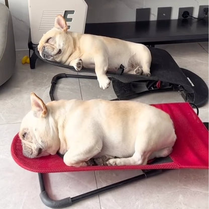 couleur Rosso — Amaca a Dondolo Pieghevole per Cani – Sdraio Rilassante fino a 12 kg