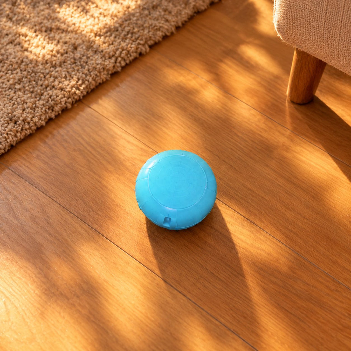 situation — Pallina LED Telecomandata per Cani – Ricaricabile USB