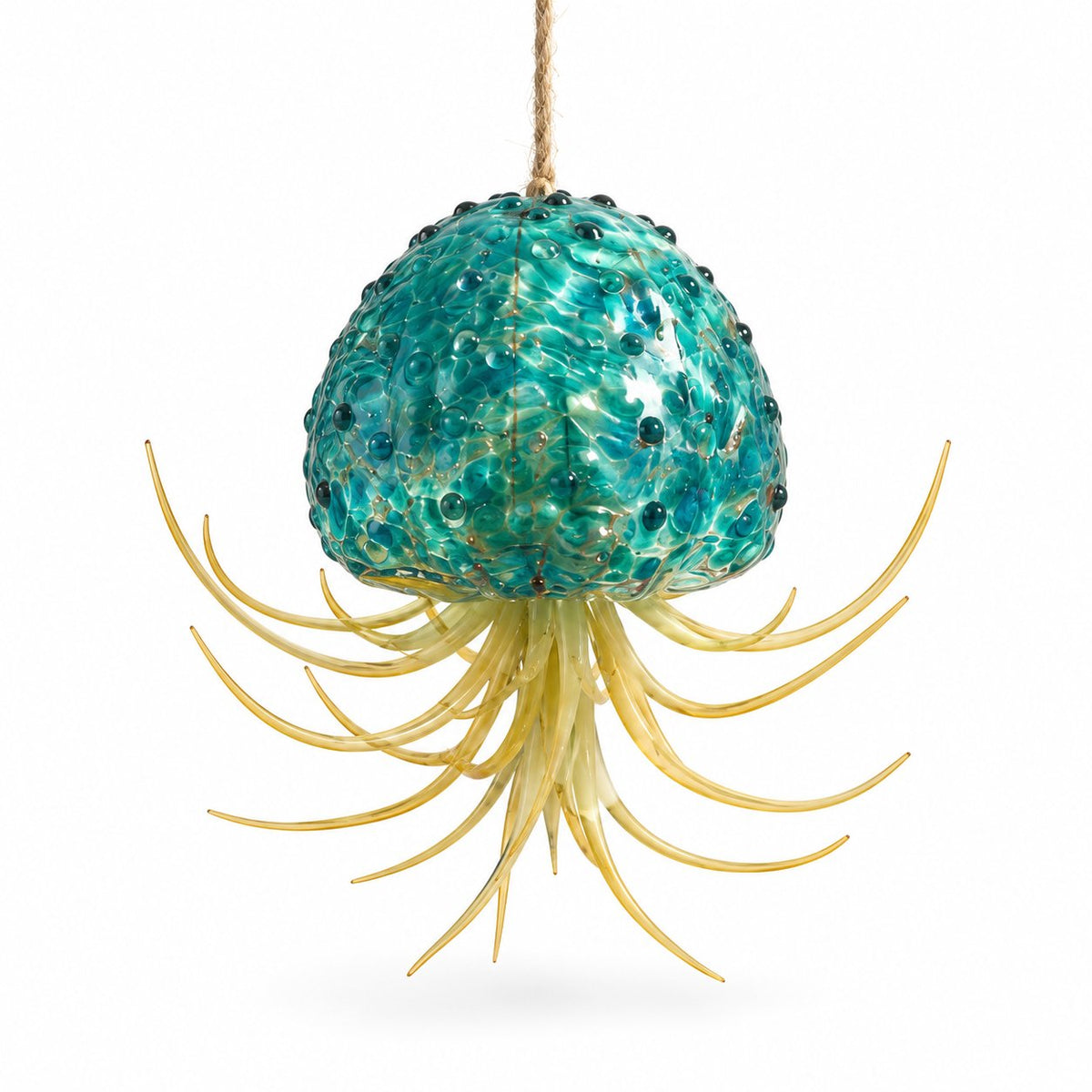 packshot — Porta Tillandsia Medusa – Vetro Soffiato a Mano