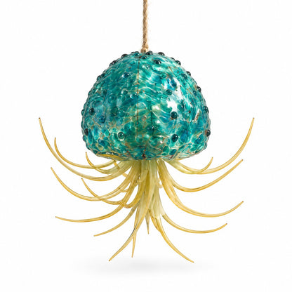 packshot — Porta Tillandsia Medusa – Vetro Soffiato a Mano