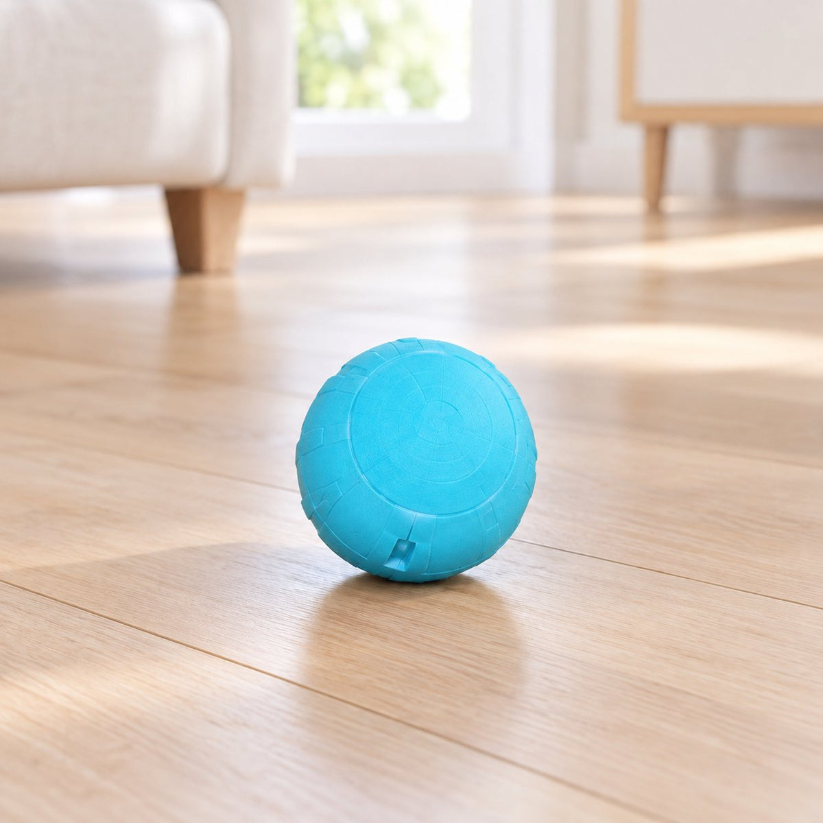 situation — Pallina LED Telecomandata per Cani – Ricaricabile USB