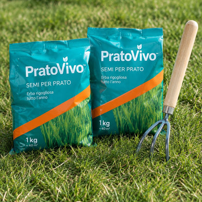 situation — PratoVivo™ – Kit Rigenerazione Prato con Attrezzo Manuale