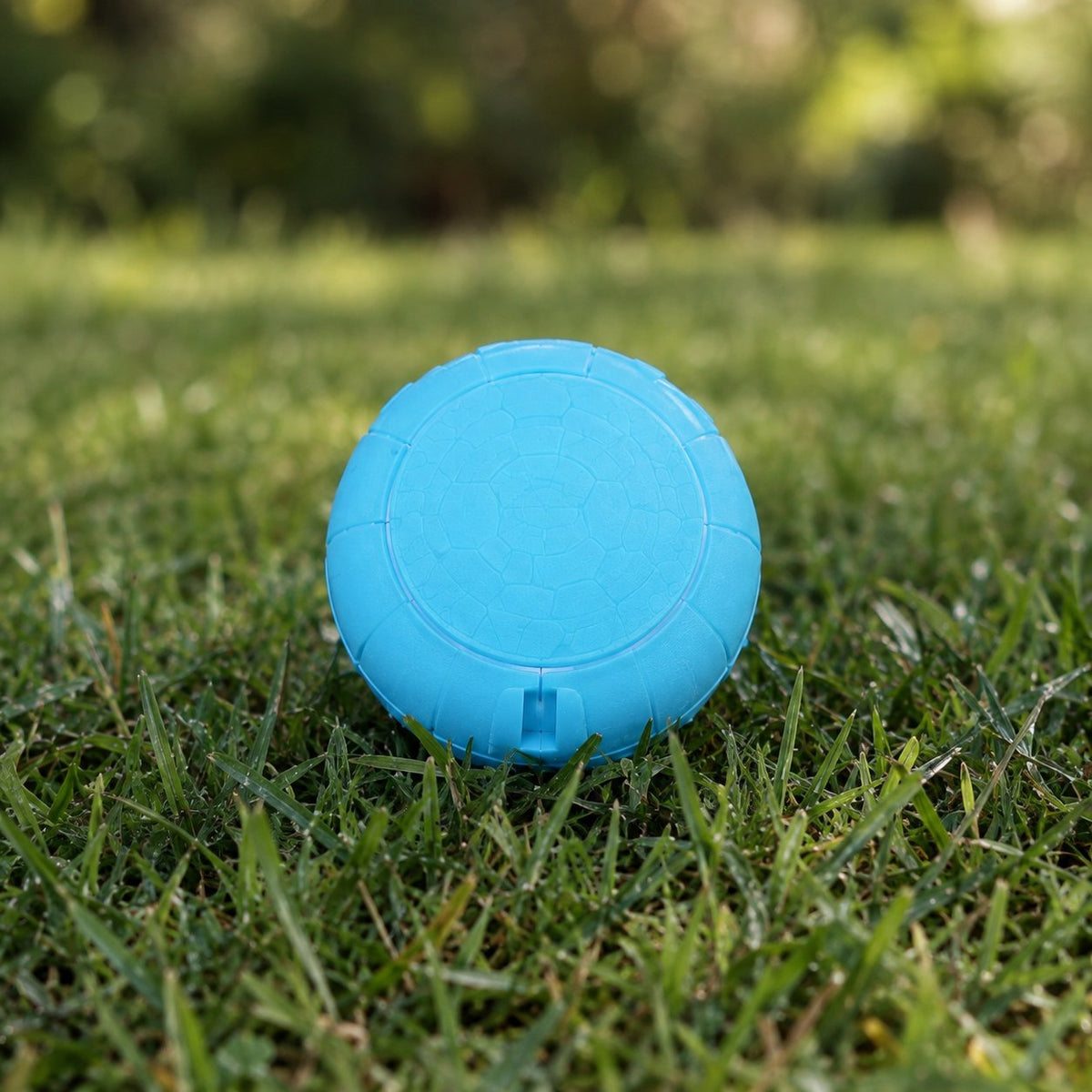 situation — Pallina LED Telecomandata per Cani – Ricaricabile USB